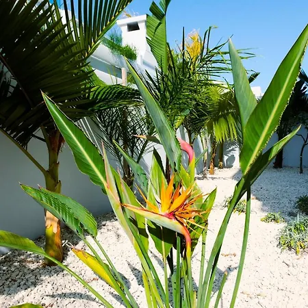Nissini Blanco, 3 Bedroom With Private Pool, 5 Min To The *